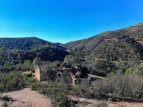 Terreno