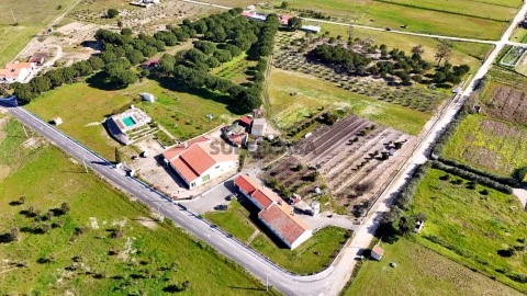 Vista