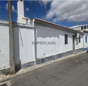 Sem Título