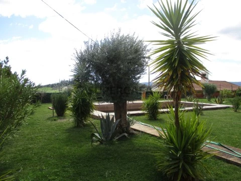 Herdade em Estremoz, com 17 ha.
