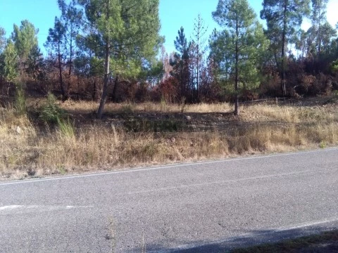 Terreno Cardigos