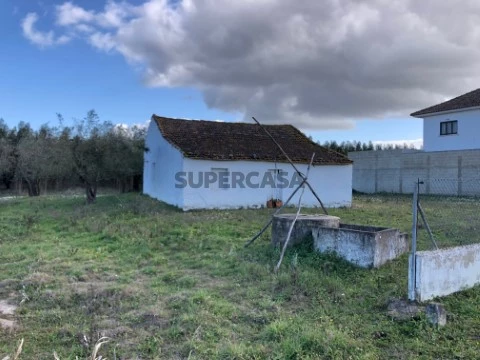 Terreno Eucaliptal Alcoentre