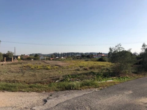 Terreno com Viabilidade de Construção Tagarro-Alcoentre