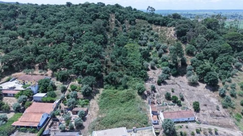 Lote no Pinheiro Grande***RIOMAGIC***