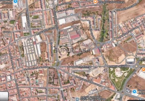 zona Montijo