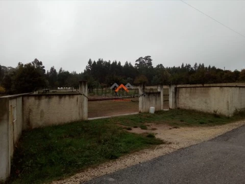 Terreno em Recardães e Espinhel, Águeda