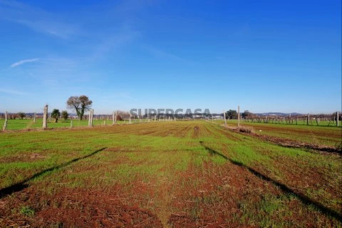 Terreno Rústico em Bougado (São Martinho e Santiago), Trofa