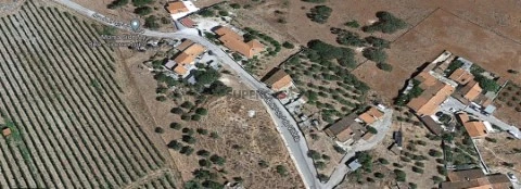 Foto Terresno