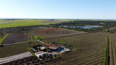 81ha Messejana