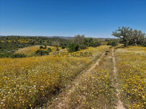 Herdade 537ha
