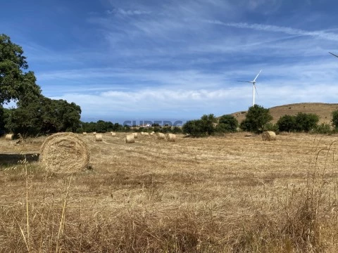 7,5ha Porto Covo