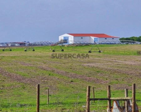 Herdade T7 em Aljustrel, Aljustrel