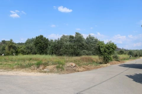 Terreno