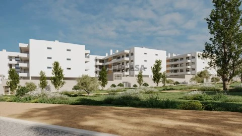 Développement du village d’Olea