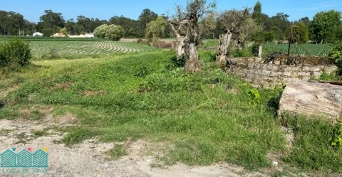 Terreno Com Projeto Aprovado no Bunheiro