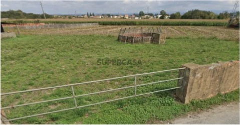 Terreno em Pardilhó