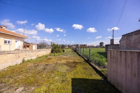 Terreno na Murtosa