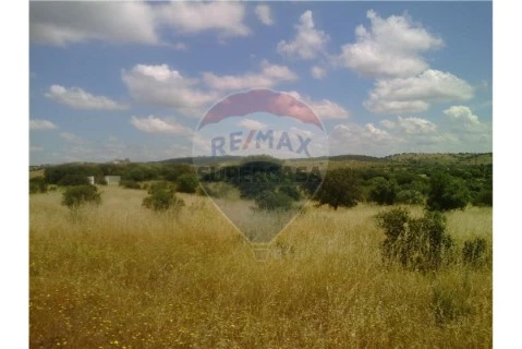 Terreno em Terena (São Pedro), Alandroal