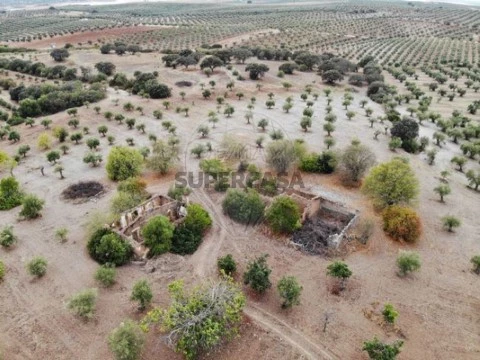 Terreno em Póvoa de São Miguel, Moura