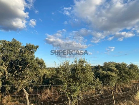 Terreno em São Manços e São Vicente do Pigeiro, Évora