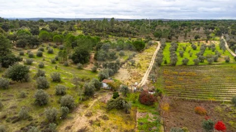 Terreno em Cabeção, Mora