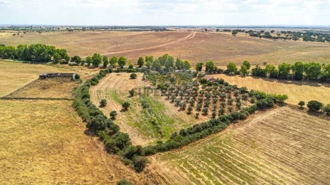 Terreno em Granja, Mourão