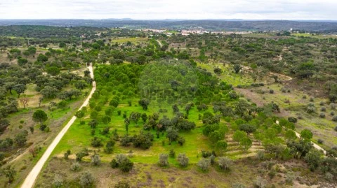 Terreno en Cabeção, Mora