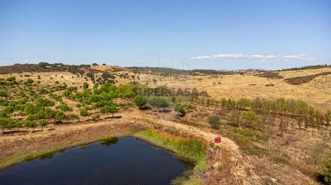 Terreno em Santiago Maior, Alandroal
