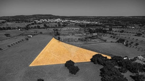 Terreno em Vila Nova da Baronia, Alvito