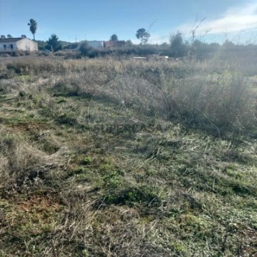 Terreno em Borba (Matriz), Borba