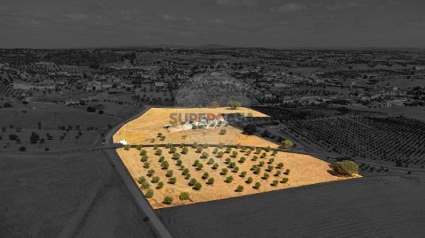 Quinta T3 em Santiago Maior, Alandroal
