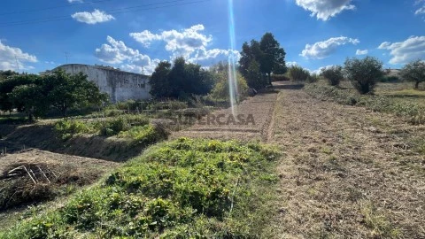 Terreno na Rua Bairro do Outeirinho, Cidade de Santarém, Santarém