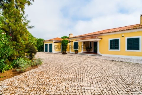 entrada
