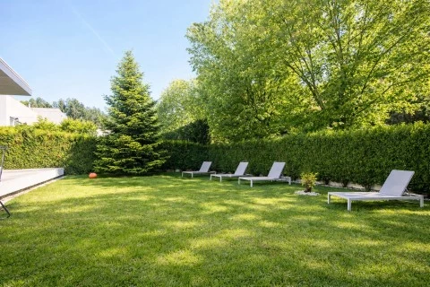 Jardim