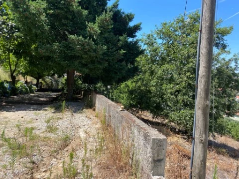 Ground