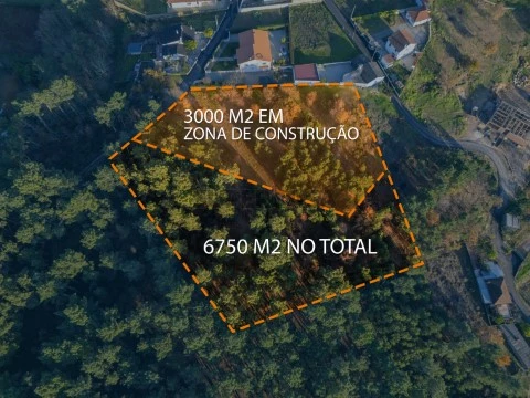 DJI_20251213160117_0210_D LIMITE ESCRITO