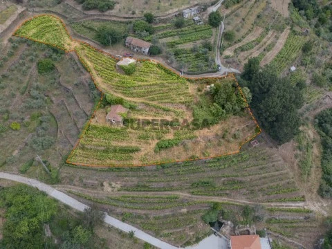 DJI_20260606104936_0063_D limites