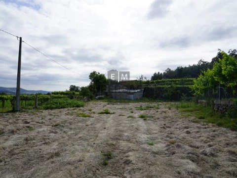 Terreno Urbanizável em Roge, Vale de Cambra