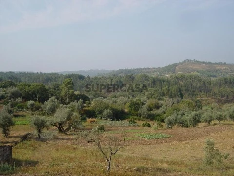 Terreno em Lamas, Miranda do Corvo