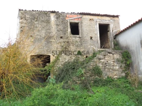 Ruína T0 em Lamas, Miranda do Corvo