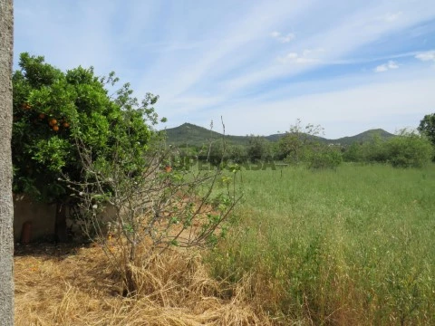 Terreno em São Miguel, Santa Eufémia e Rabaçal, Penela