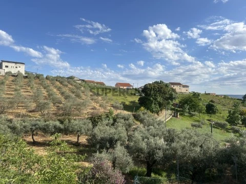 Maison ancienne au Murça, Murça