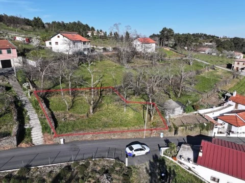 copia