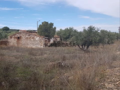 Alentejo - BORBA: Quinta em terreno Urbano para reconstrução/ construção de moradia, privacidade!
