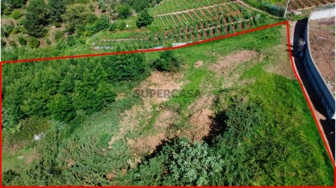 Terreno em Caminho do Trapiche, Santo António, Funchal