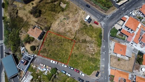 Lote7