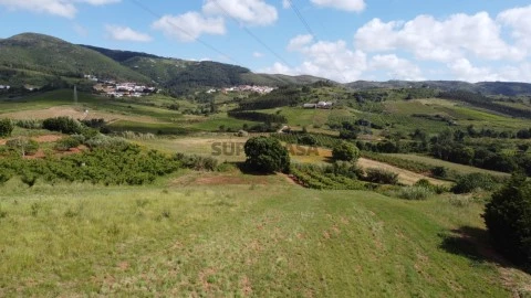 DJI_0522