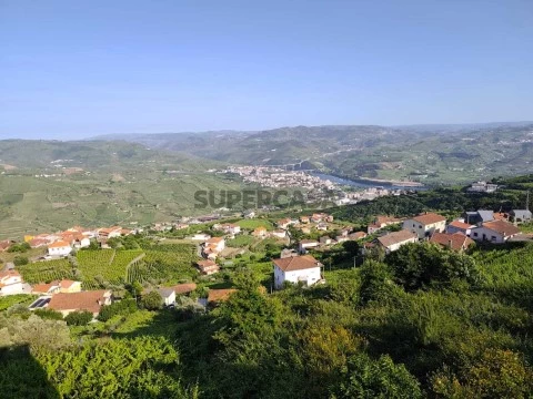 Vistas