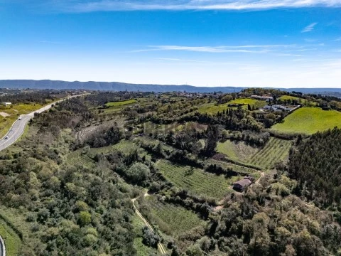Quinta Agrícola na Rua Professor Adelino Rodrigues da Costa, Maiorga, Alcobaça