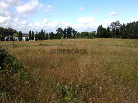 Terreno em Requeixo, Nossa Senhora de Fátima e Nariz, Aveiro